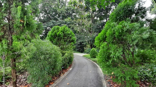 Beautiful pathway in a garden  Singapore