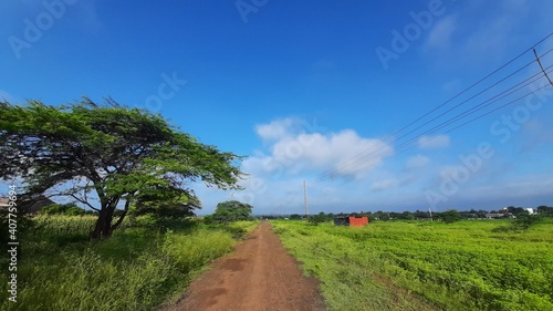 A rural road on Sunny days India