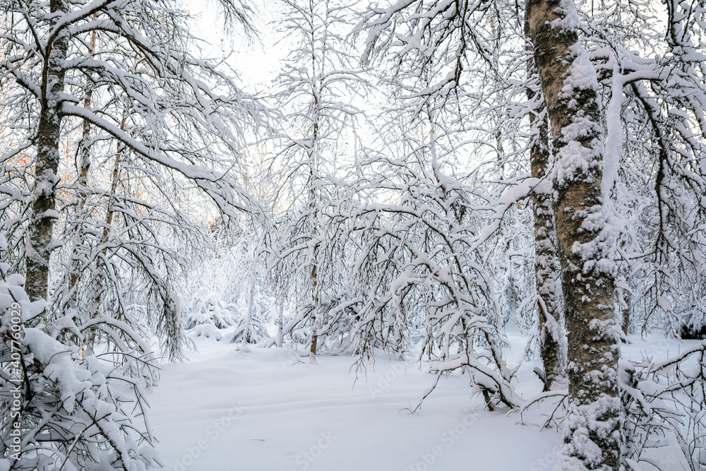 Beautiful view of the winter forest, Meiko recreation area, Kirkkonummi, Finland Beautiful view of the winter forest, Meiko recreation area, Kirkkonummi, Finland