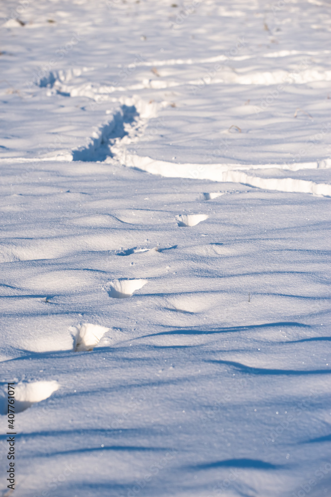 Schneespuren im Winter