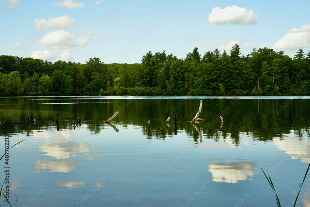 Obraz premium Landscape from the shore of the lake, water, shoreline overgrown with trees, sky with clouds, reflection