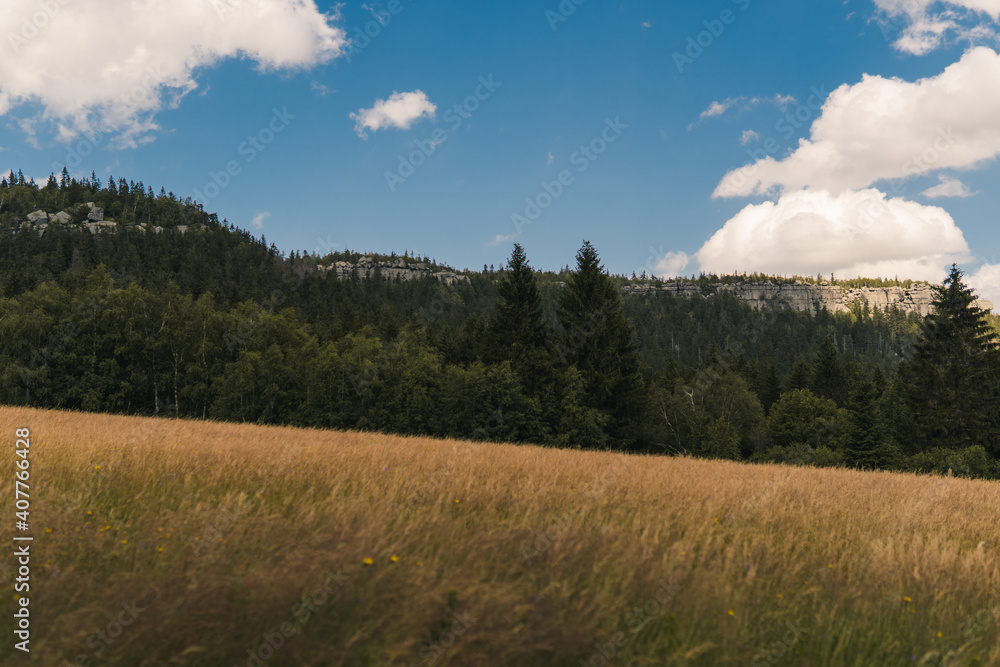 landscape in the mountains, Szczeliniec Wielki in Poland