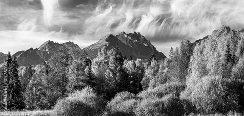 Beautiful autumn day and colorful tree in High Tatras panorama mountains,Slovakia