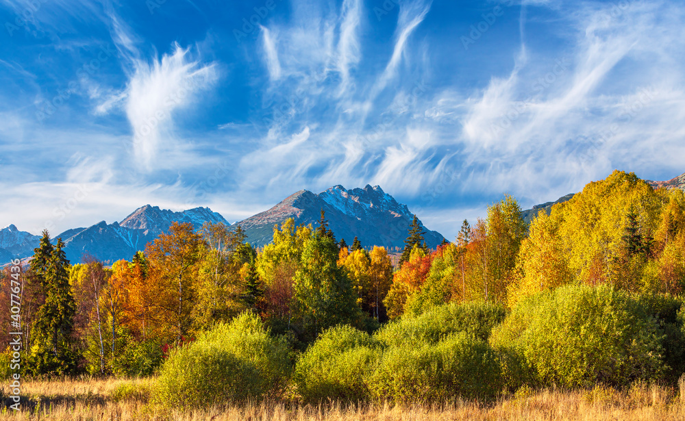 Beautiful autumn day and colorful tree in High Tatras panorama mountains,Slovakia