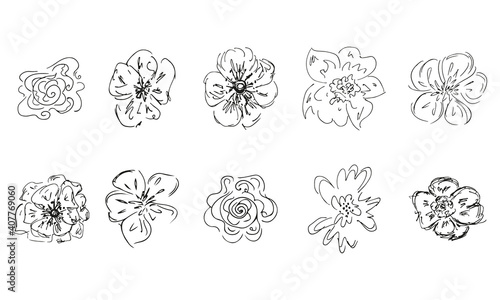 10 hand-drawn blossom wildflowers. Big collection of 10 hand-drawn roses. Big floral botanical set. Isolated on white background. Doodle simple vector collection.