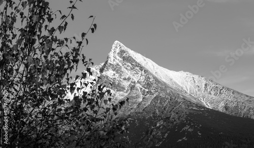 Obraz na płótnie Slovakia, High Tatras, Vysoke Tatry, Europe moutain, , tree w salonie