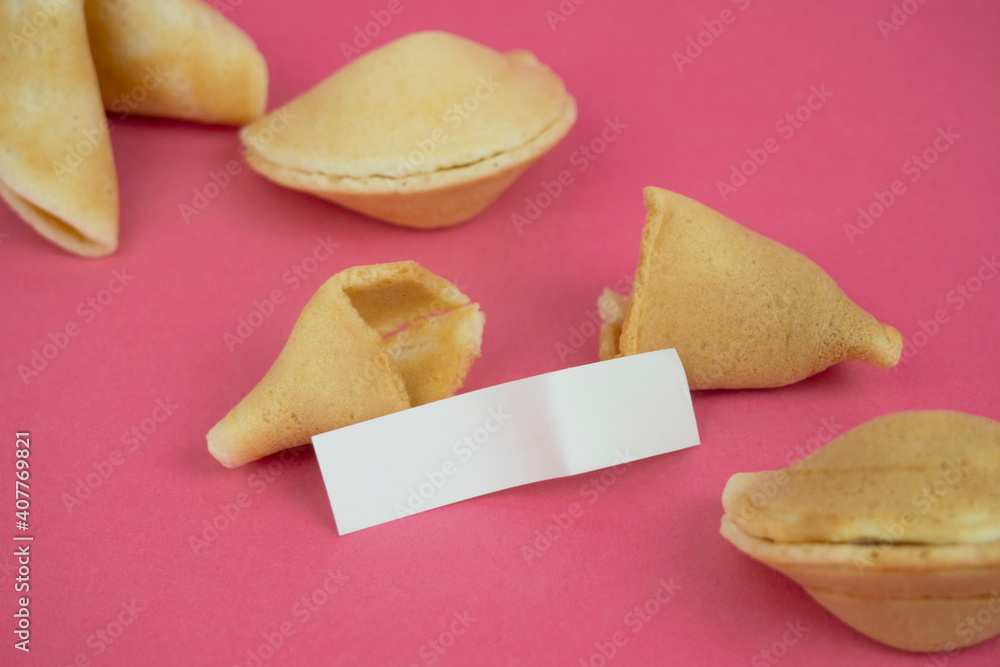 Fortune Cookie on a crimson background. Close-up of foreboding broken cookies with white paper with copy space on a dark pink background Fortune Cookie on a crimson background. Close-up of foreboding broken cookies with white paper with copy space on a dark pink background