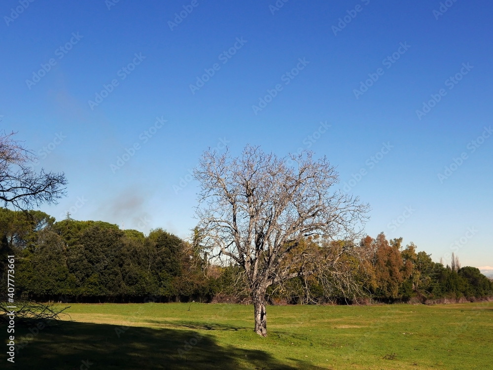 scenico panorama del parco dell'Appia Antica a Roma scenico panorama del parco dell'Appia Antica a Roma