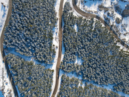 snowy road through trees and forest