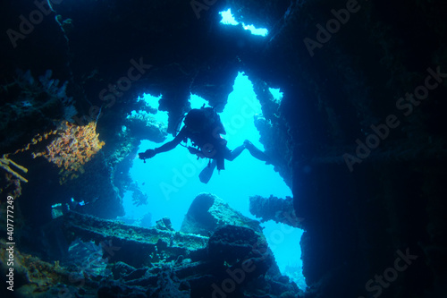 Diving at the Royal Mail Steamer Rhone sank 1867, Island Salt, British Virgin Island, Caribbean wreck dive, Fun diving with beautiful fishes