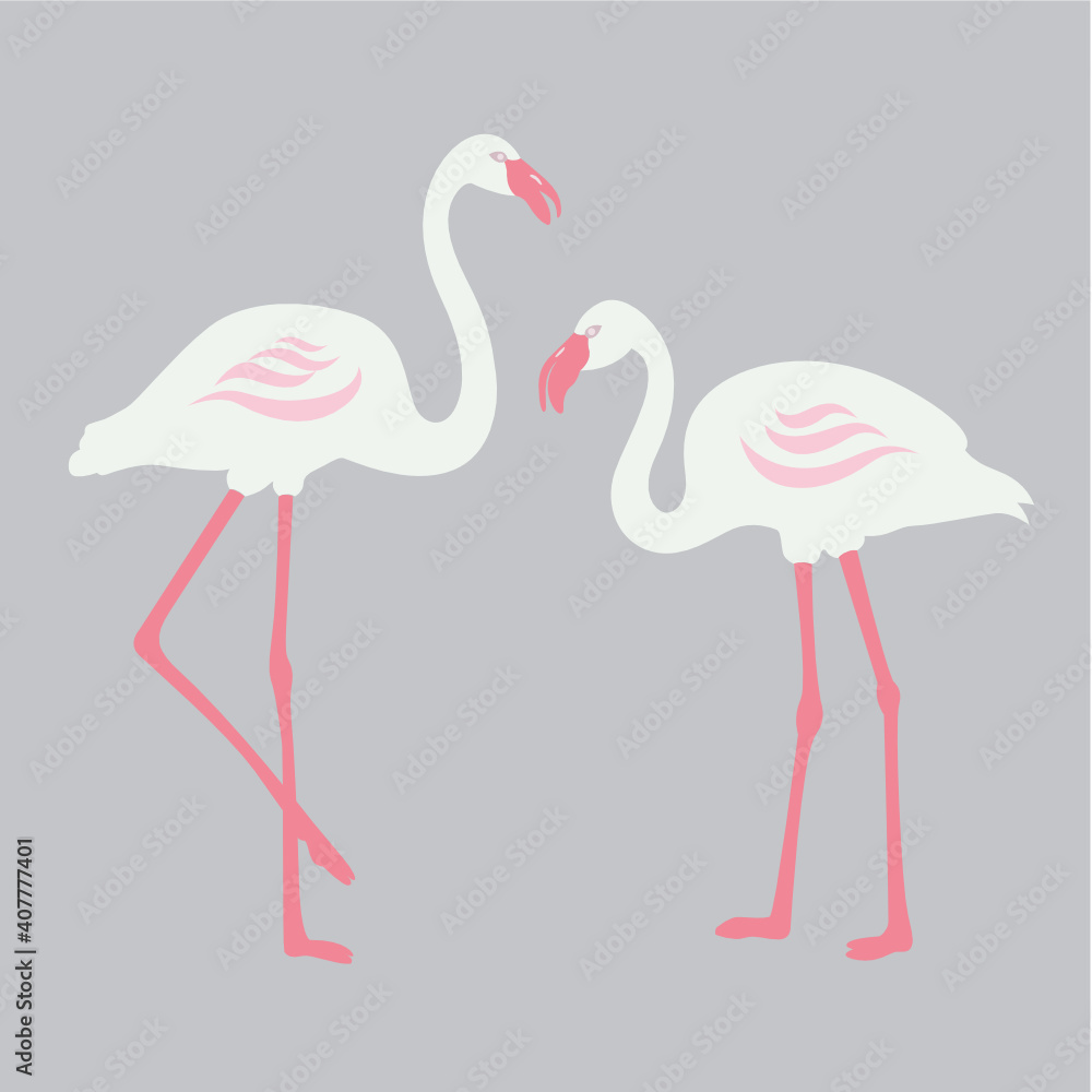 Obraz premium Flamingos