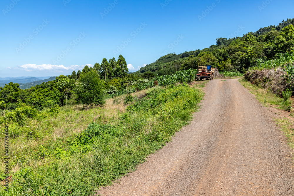 Dirty road, Forest and farm fields Dirty road, Forest and farm fields