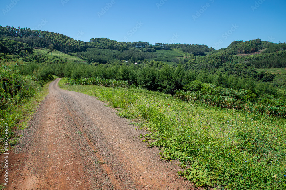 Dirty road, Forest and farm fields