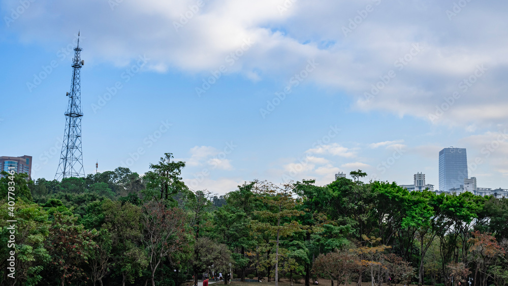 21/5000
The Lush Chloroplastida of the park 21/5000
The Lush Chloroplastida of the park