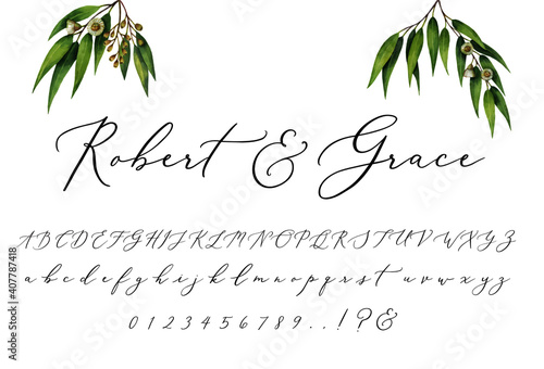Wedding Invitation Script Font