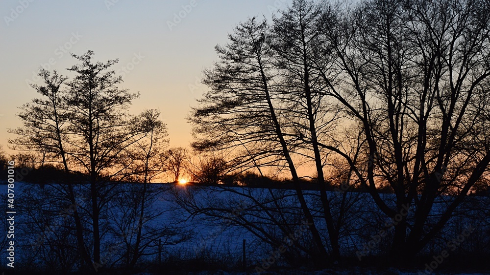 Sunset above winter field in lowland of western Slovakia, silhouettes of large naked broadleaf tree lane in forefront. Clear skies.