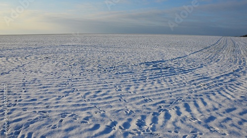 Morning winter landscape of snow covered agricultural field with tracks of mechanisms and footprints of various animals.
