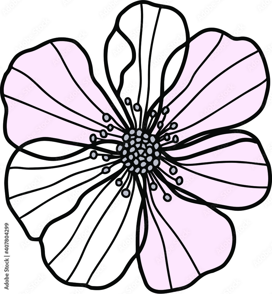Fototapeta premium pink and white flower