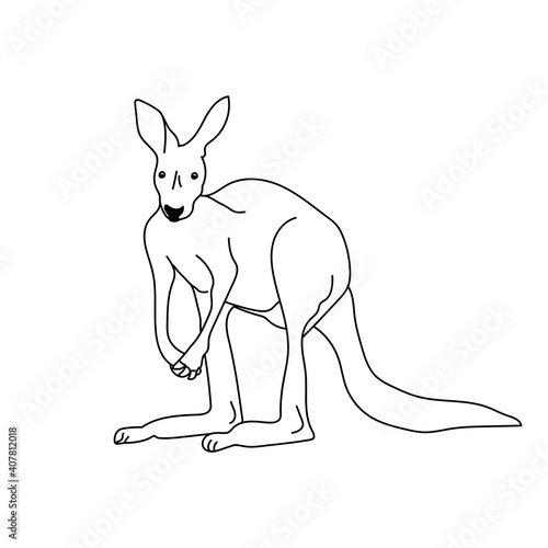 Outline kangaroo coloring page with cute animal, Australia animals rescue