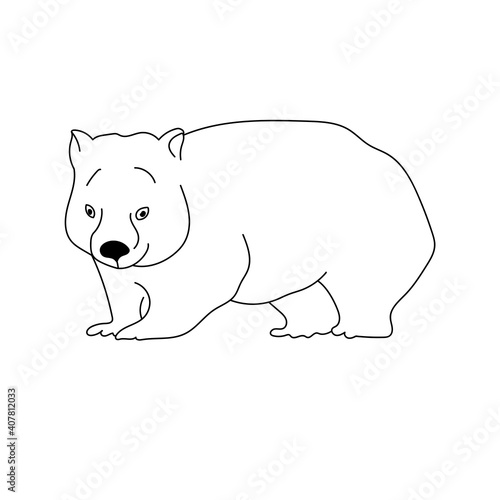 Wombat, outline drawing of an Australian animal, coloring page