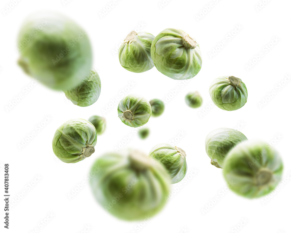 Green cabbage levitates on a white background Green cabbage levitates on a white background