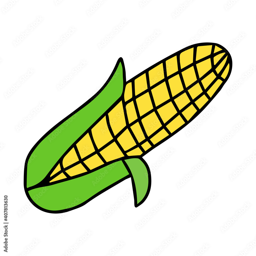 Yellow and green Hand-drawn outline vector illustration of a corn isolated on a white background for holiday or dinner for cooking book