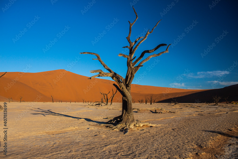 Sand dunes in Namib Naukluft National Park in Namibia