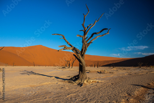 Sand dunes in Namib Naukluft National Park in Namibia