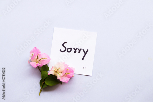  sorry message card with pink flower bougainvillea arrangement flat lay style on background white