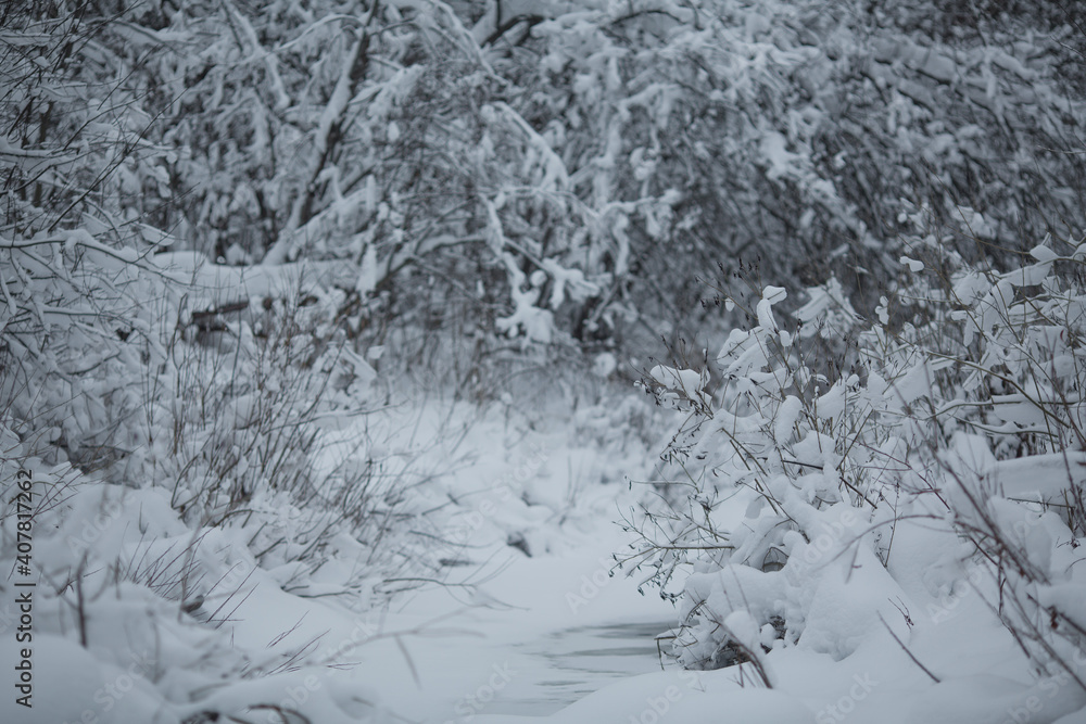 Winter in a snowy forest. Winter in a snowy forest.