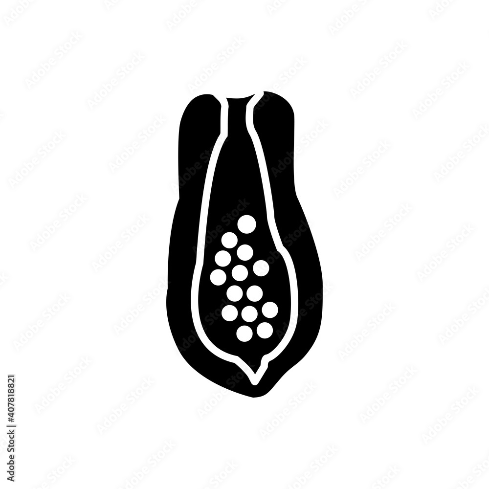 papaya icon vector illustration design papaya icon vector illustration design
