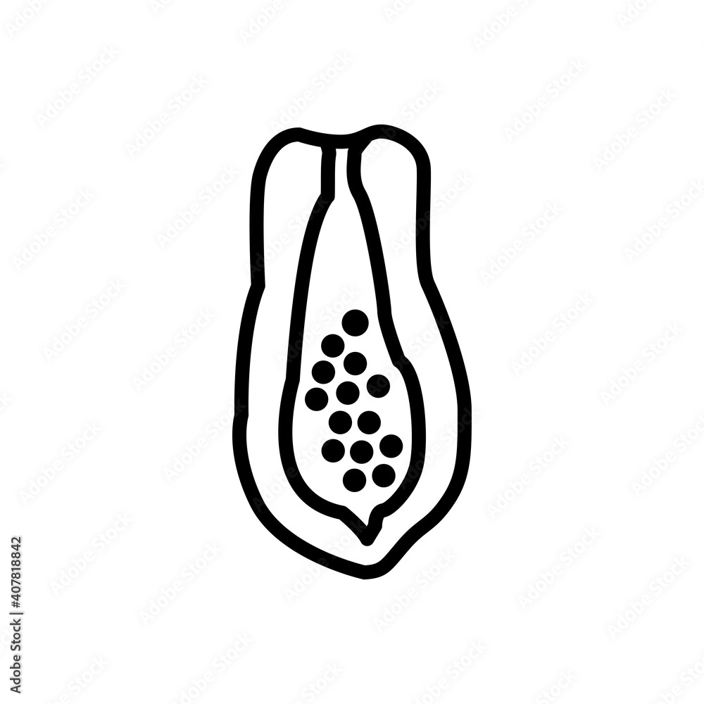 papaya icon vector illustration design papaya icon vector illustration design