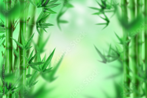 Fototapeta Naklejka Na Ścianę i Meble -  Green Bamboo forest,Natural background. Fresh Morning, blur abstract image