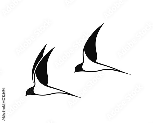 Swallow logo. Isolated swallow on white background