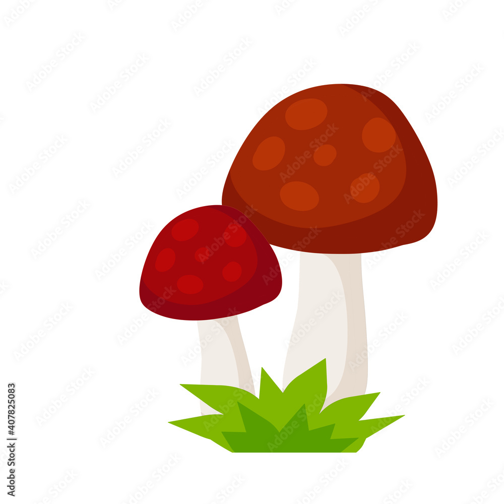 Mushroom with a red cap. Natural natural product. Vegetation element of the forest. Flat cartoon illustration Mushroom with a red cap. Natural natural product. Vegetation element of the forest. Flat cartoon illustration