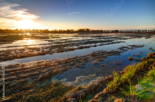Delta del Ebro. Recorrido por los arrozales y la desembocadura del Ebro