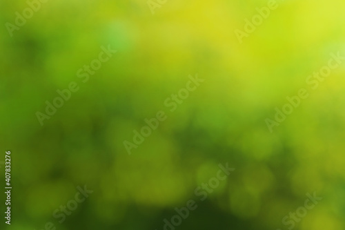 Green yellow abstract bokeh blurred background