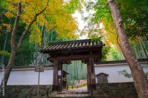 京都　竹の寺地蔵院の山門と竹林　紅葉