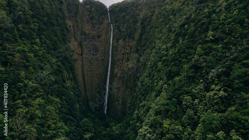 Hi'ilawe waterfall in the Waipio Valley. Big Island, Hawaii photo