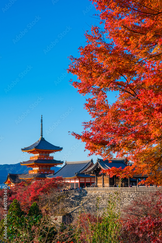 京都　清水寺の三重塔と紅葉　