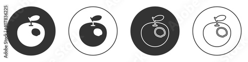 Black Genetically modified apple icon isolated on white background. GMO fruit. Circle button. Vector.