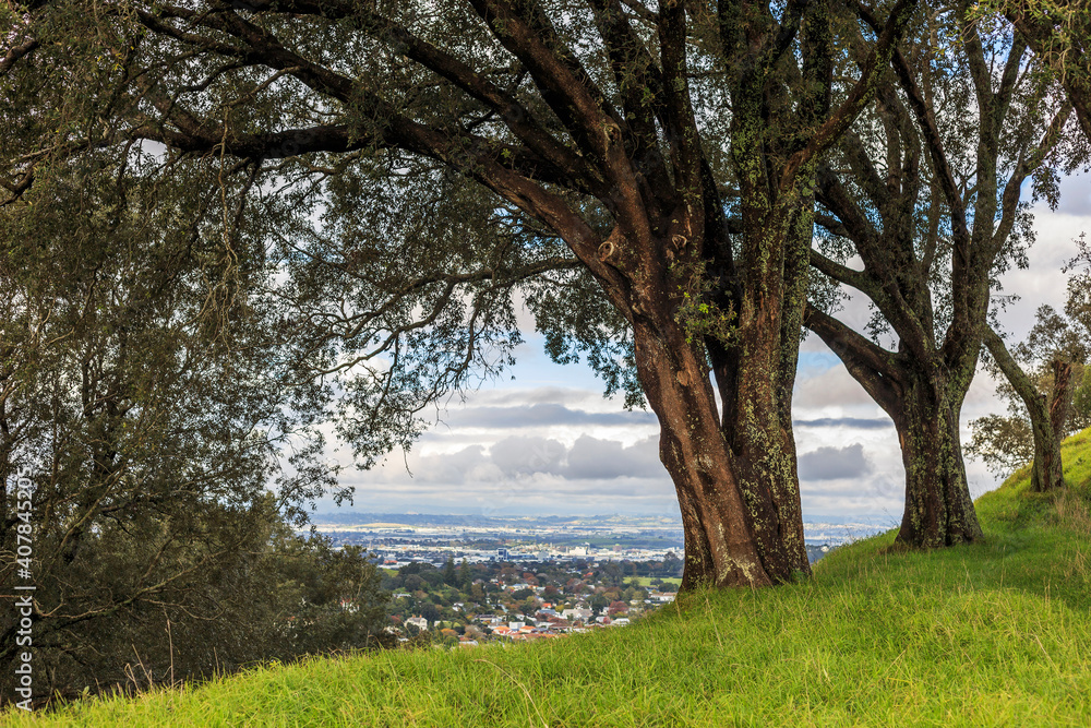 Auckland City from Mount Eden, Aukland, New Zealand. Auckland City from Mount Eden, Aukland, New Zealand.