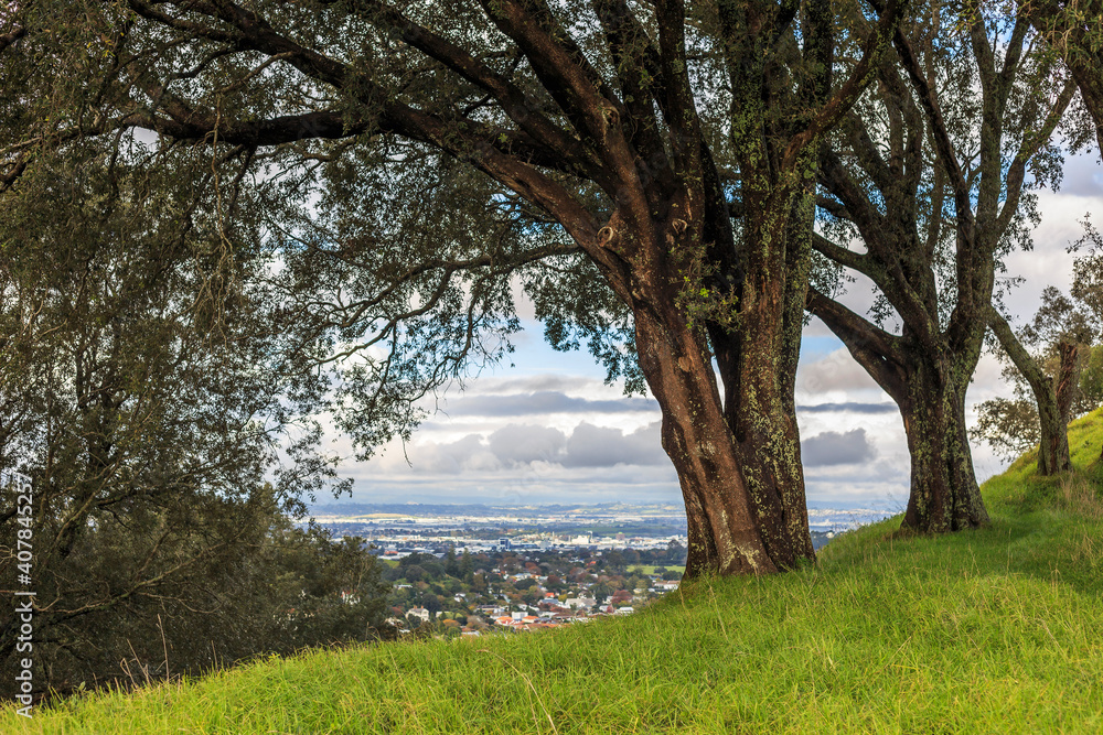 Auckland City from Mount Eden, Aukland, New Zealand. Auckland City from Mount Eden, Aukland, New Zealand.