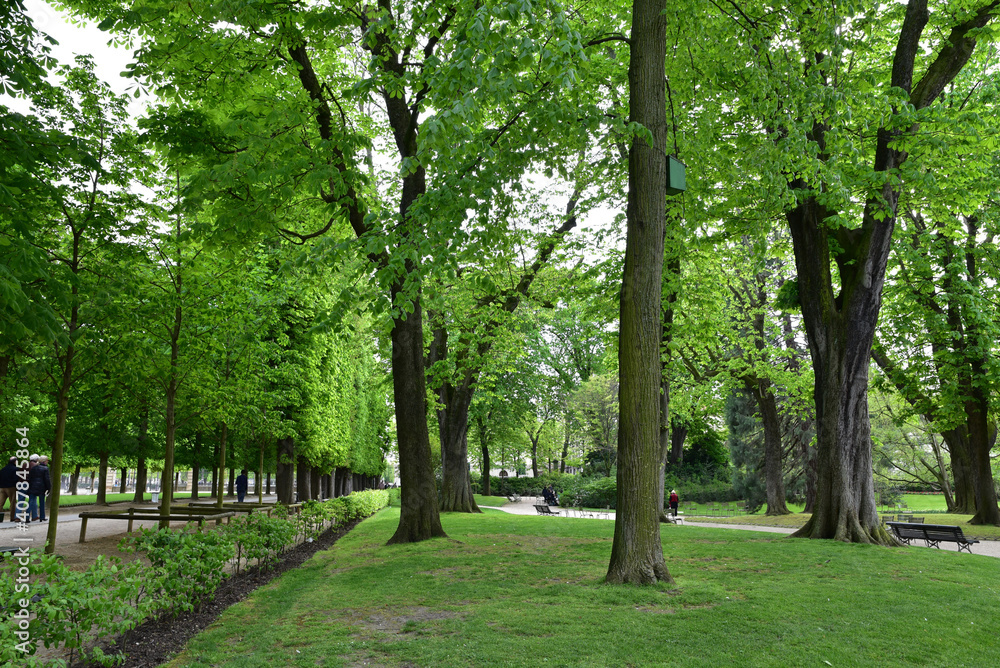 Fototapeta premium Jardin du Luxembourg au printemps à Paris, France