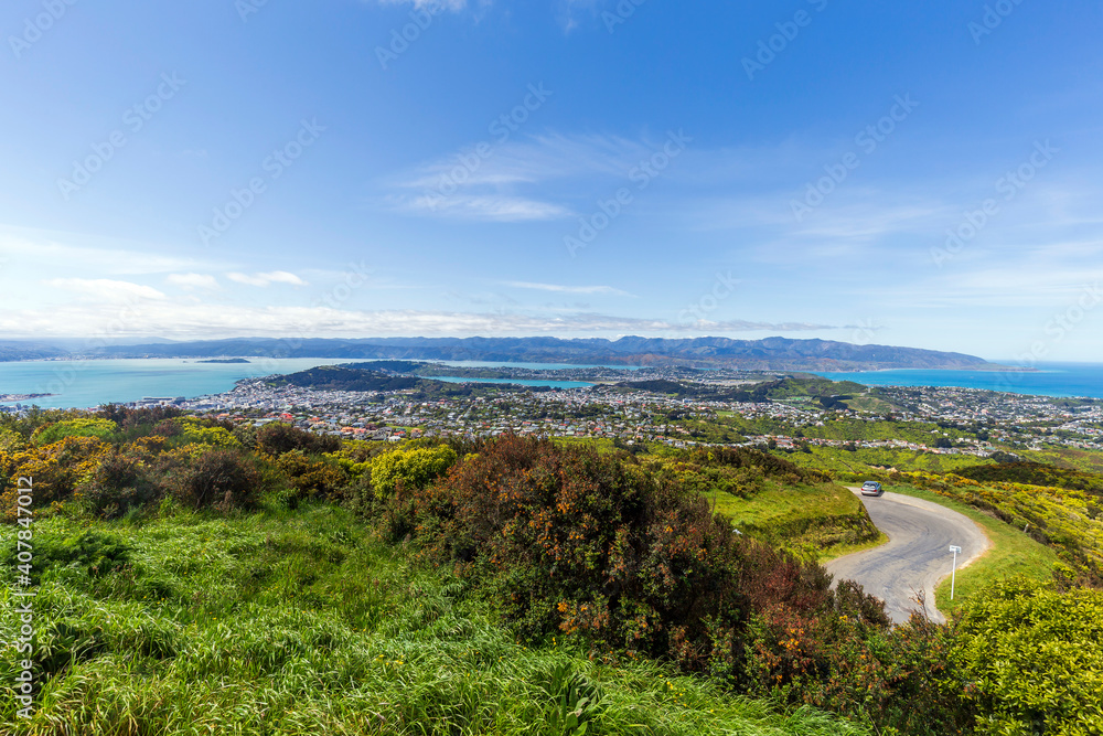View of Wellington from the Wind Turbine in New Zealand View of Wellington from the Wind Turbine in New Zealand