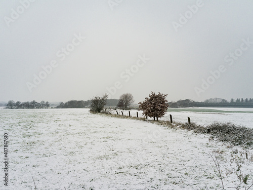 Path along snowy fields on a cloudy January morning.