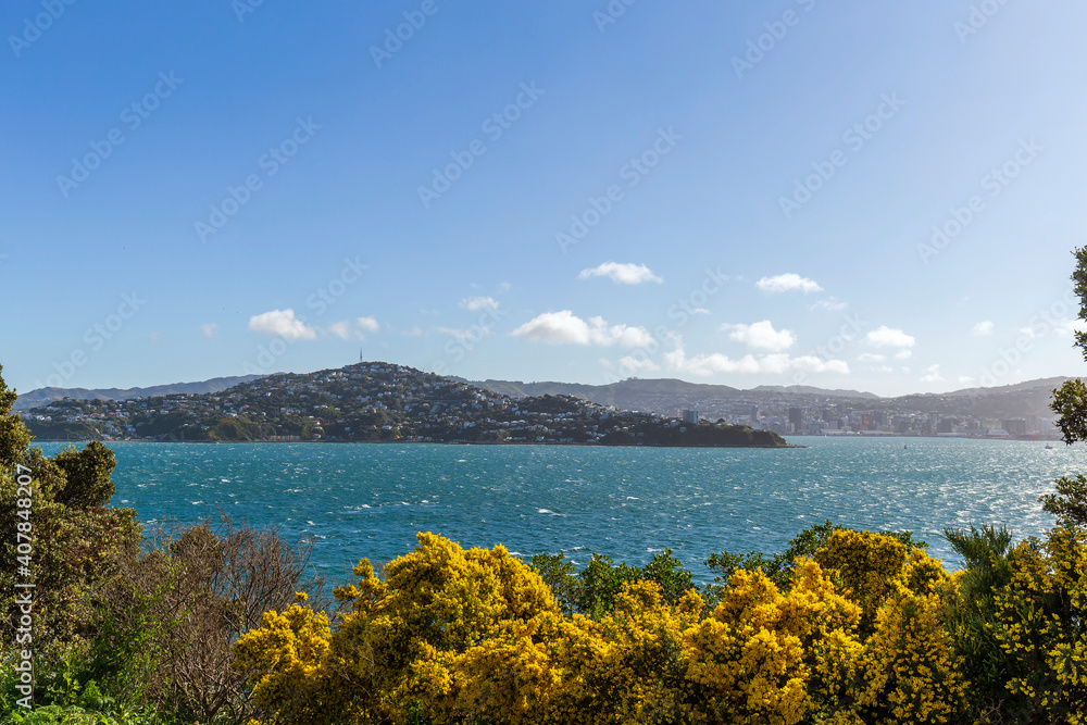 View of Mount Victoria from Miramar, Wellington, New Zealand