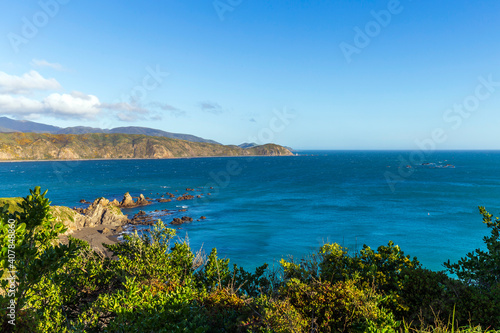 View of Breaker Bay in Wellington, New Zealand