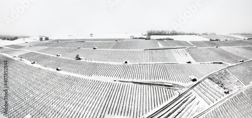 Panorama of vineyards under the snow with tool houses in winter season (large stitched file) photo