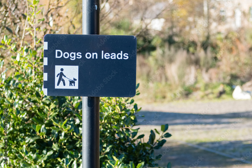 Dogs must be kept on a lead or leash in public park play area sign